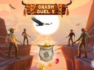 Crash Duel X game cover